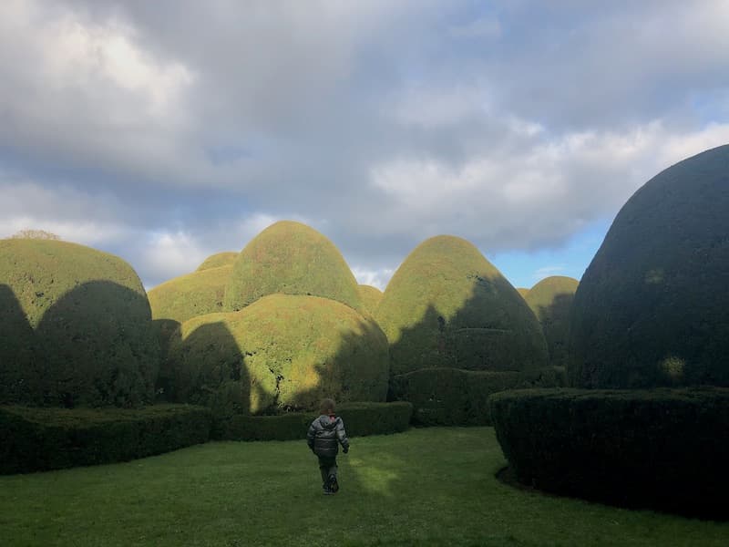 round trimmed bushy trees